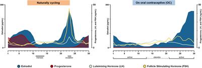 Effects of an Oral Contraceptive on Dynamic Brain States and Network Modularity in a Serial Single-Subject Study